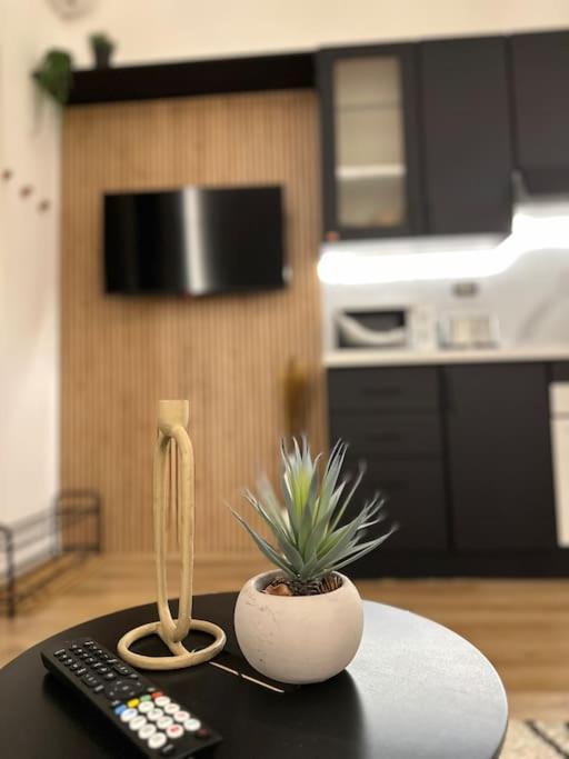La Casa Di Marlu - Gorgeous Flat In Catania Centre Lejlighed Eksteriør billede